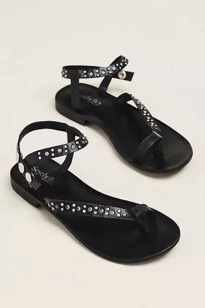 Seychelles First Look Embellished Sandal In Black