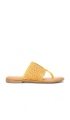 Seychelles Florence Woven Sandal In Orange
