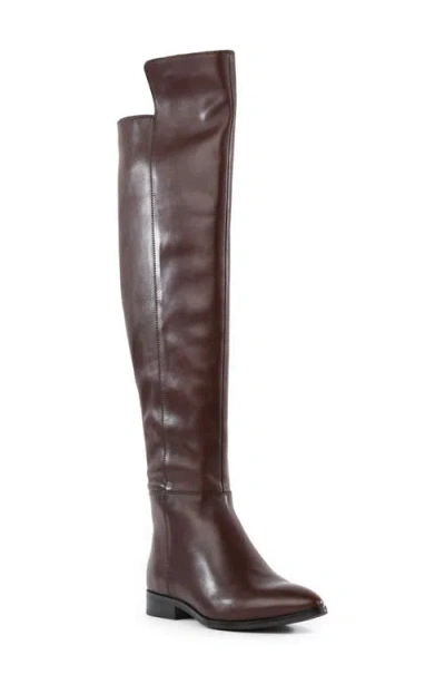 Seychelles Gentle Touch Knee High Boot In Brown Leather