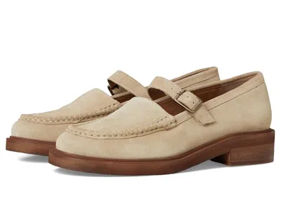 Seychelles Honeybunch