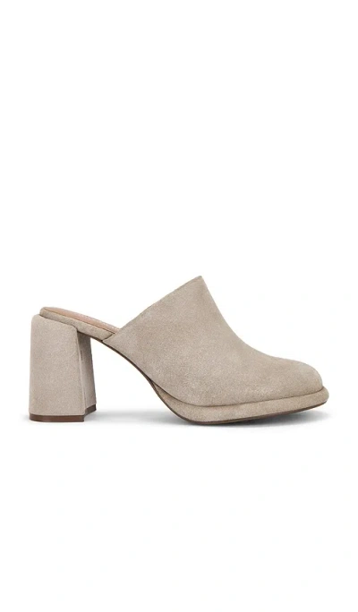 Seychelles Honor Mule In Sand