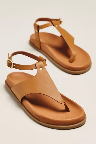 Seychelles In The Zone T-strap Sandals In Brown