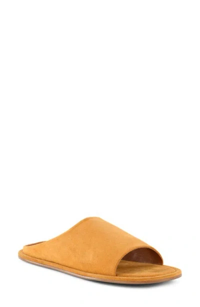 Seychelles It's A Yes Slide Sandal In Orange