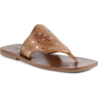 Seychelles Keep Your Secrets Studded Sandal In Brown