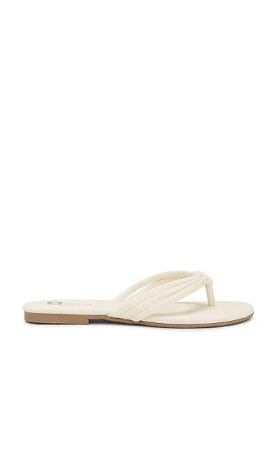 Seychelles Laguna Sandal