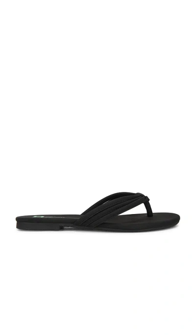 Seychelles Laguna Sandal In Black
