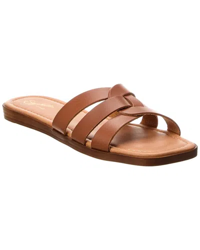 Seychelles Leila Leather Sandal In Brown