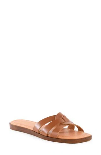 Seychelles Leila Slide Sandal In Brown