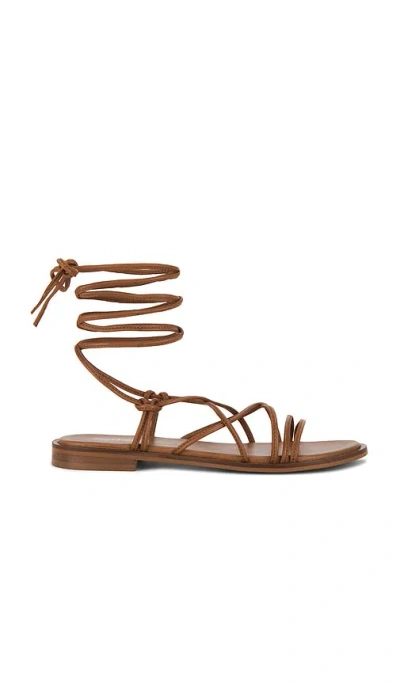 Seychelles Lighthouse Sandal In Brown
