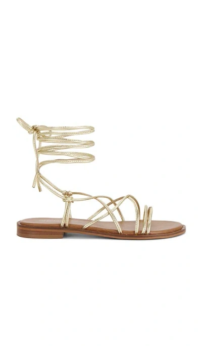 Seychelles Lighthouse Ankle Wrap Sandal In Gold
