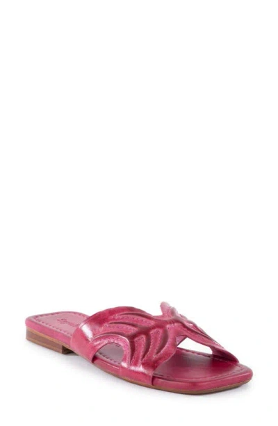 Seychelles Madhu Slide Sandal In Fuchsia