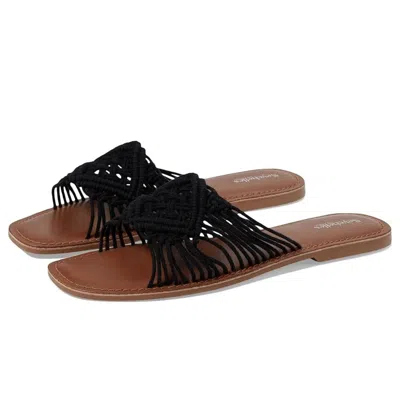 Seychelles Mahogany Sandals Womens Black Squared Toe Slip On Slide Htat1309