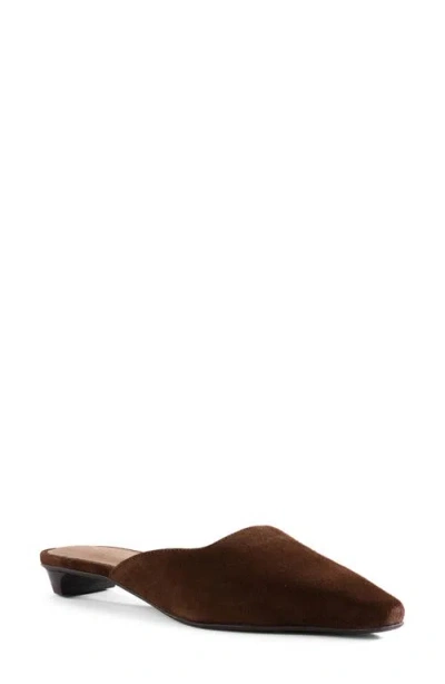 Seychelles Mocktail Ii Pointed Toe Mule In Blue