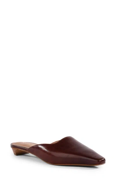 Seychelles Mocktail Ii Pointed Toe Mule In Chestnut