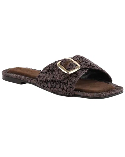 Seychelles Morning Brunch Sandal In Multi
