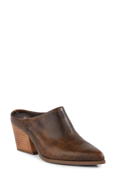 Seychelles Morning Joe Ii Leather Heeled Mule In Brown