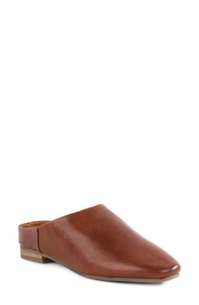 Seychelles Napa Valley Mule In Brown