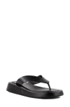 Seychelles Nautical Flip Flop Sandal In Black