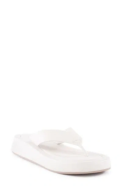 Seychelles Nautical Flip Flop Sandal In White