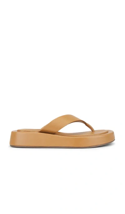 Seychelles Nautical Sandal In Tan