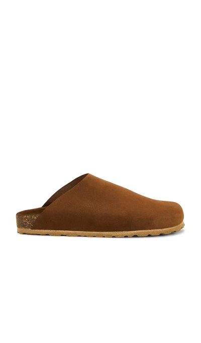 Seychelles New Routine Sandal In Brown