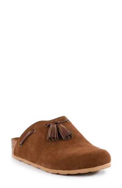 Seychelles No Hassel Tassel Clog In Brown