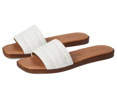 Seychelles Palms Perfection