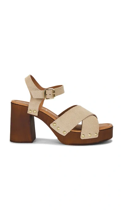 Seychelles Paloma 2 Sandal In Brown
