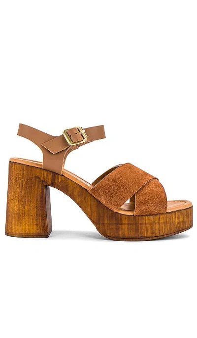 Seychelles Paloma Sandal In Brown Suede