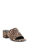 Seychelles Pepper Slide Sandal In Brown