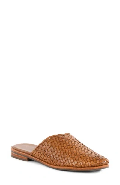 Seychelles Places To Go 2 Mule In Brown