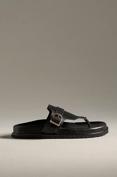 Seychelles Santa Cruz Thong Sandals In Black