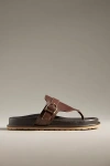 Seychelles Santa Cruz Thong Sandals In Brown