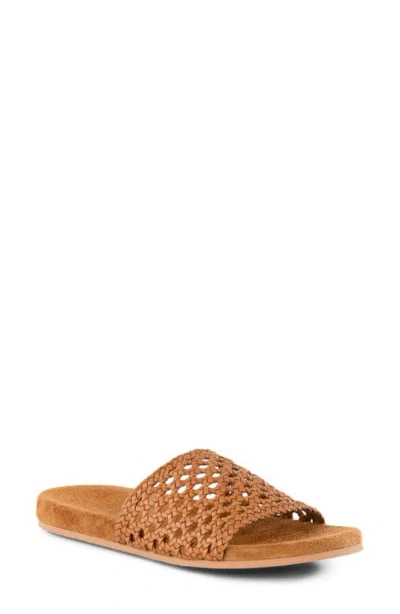 Seychelles Somerset Slide Sandal In Multi