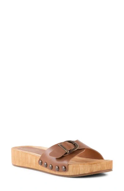 Seychelles Sorbet Platform Wedge Sandal In Brown