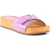 Seychelles Sorbet Slide Sandal In Lilac