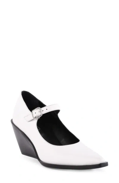 Seychelles Sparks Pointed Toe Mary Jane Pump In Multi