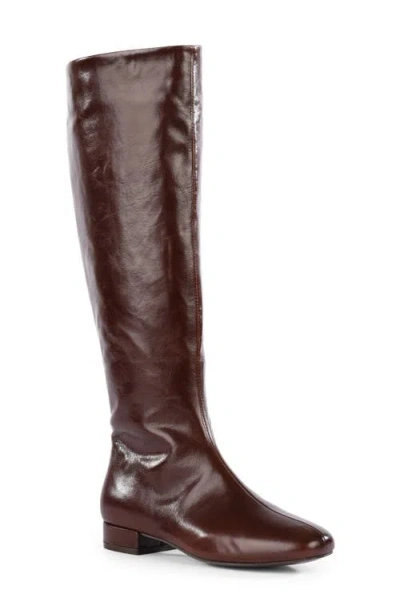 Seychelles Stand By Me Leather Knee High Boot In Brown