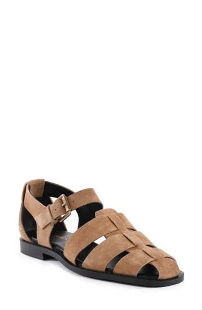 Seychelles The Blues Fisherman Sandal In Brown