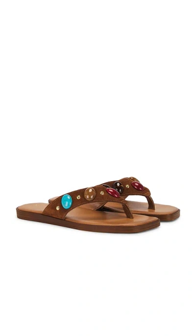 Seychelles Top Of The World Flip Flop In Multi