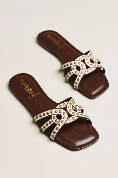 Seychelles Treasure Studded Sandals In Brown