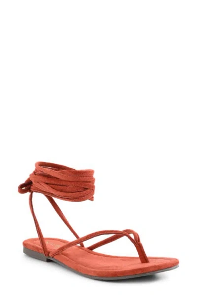 Seychelles Wander The World Ankle Strap Sandal In Brown