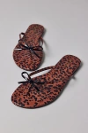Seychelles Wish List Sandal In Leopard, Women's At Urban Outfitters In Brown