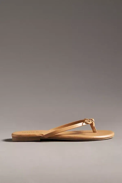 Seychelles Wishlist Thong Sandals In Beige