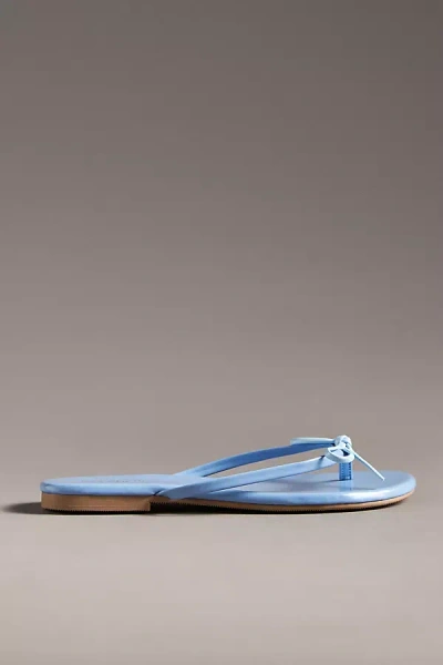 Seychelles Wishlist Thong Sandals In Blue
