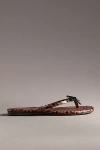 Seychelles Wishlist Thong Sandals In Multicolor