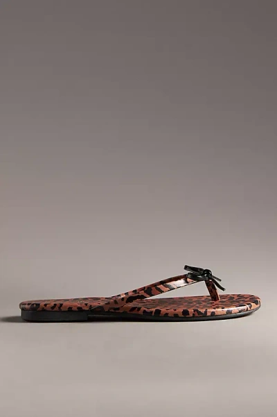 Seychelles Wishlist Thong Sandals In Multicolor