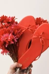 Seychelles Wishlist Thong Sandals In Red