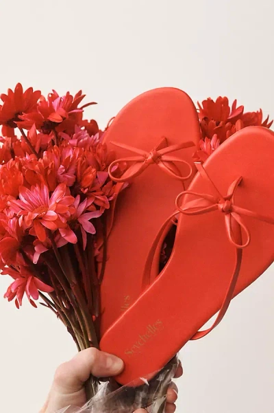Seychelles Wishlist Thong Sandals In Red