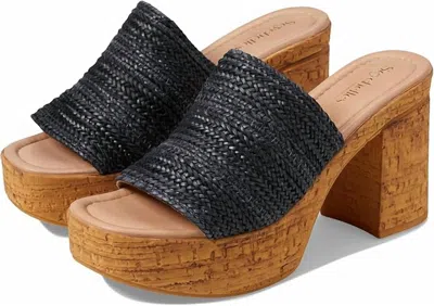 Seychelles Women's Applause Woven Fashion Heeled Sandal In Black